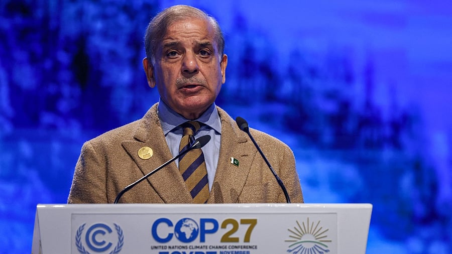 Shehbaz Sharif. Credit: AFP Photo