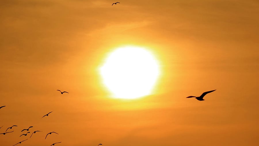 Credit: iStock Photo