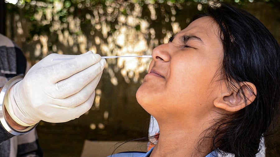 A healthcare worker collects a swab sample of a girl for Covid-19 test in Gurugram. Credit: PTI File Photo