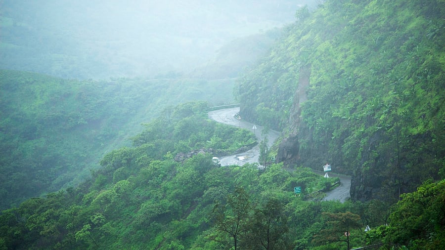 Representative Image. Credit: iStock Photo