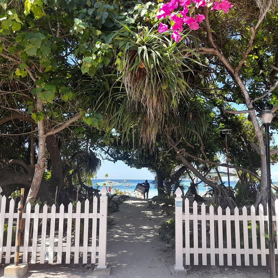 A beach-side cafe in Ukulhas. PHOTOS BY AUTHOR
