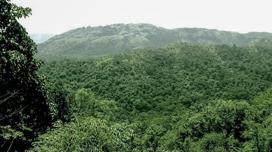 Representative Image. Credit: Special Arrangement