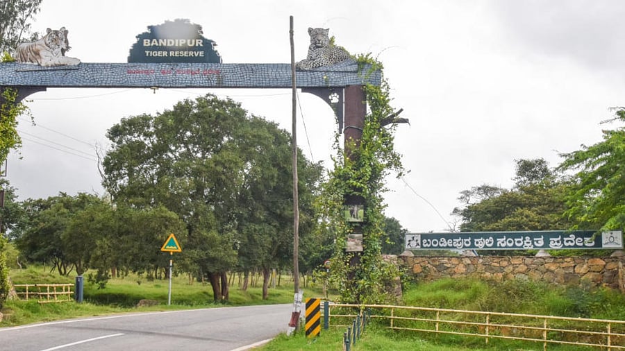 Bandipur tiger reserve gate. Credit: DH Photo