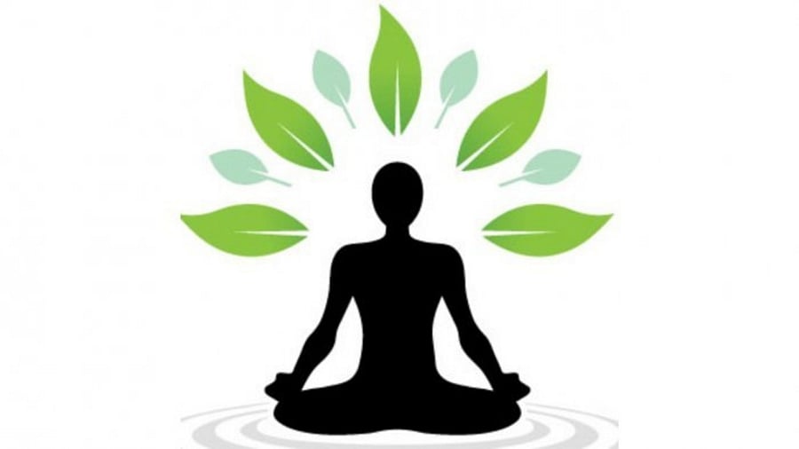 Credit: DH Illustration