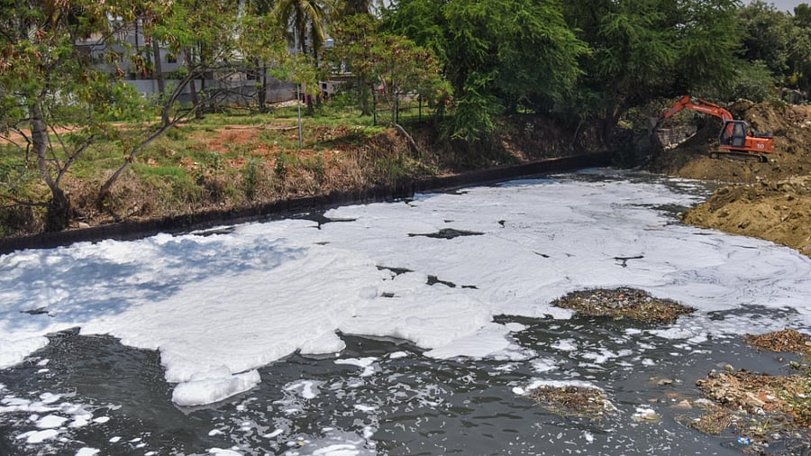 The foam formation on Bellandur lake. Credit: Special Arrangement