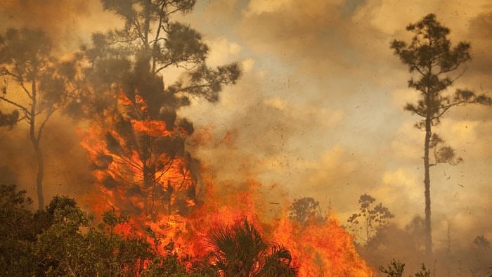 Representational image. Credit: iStock Photo