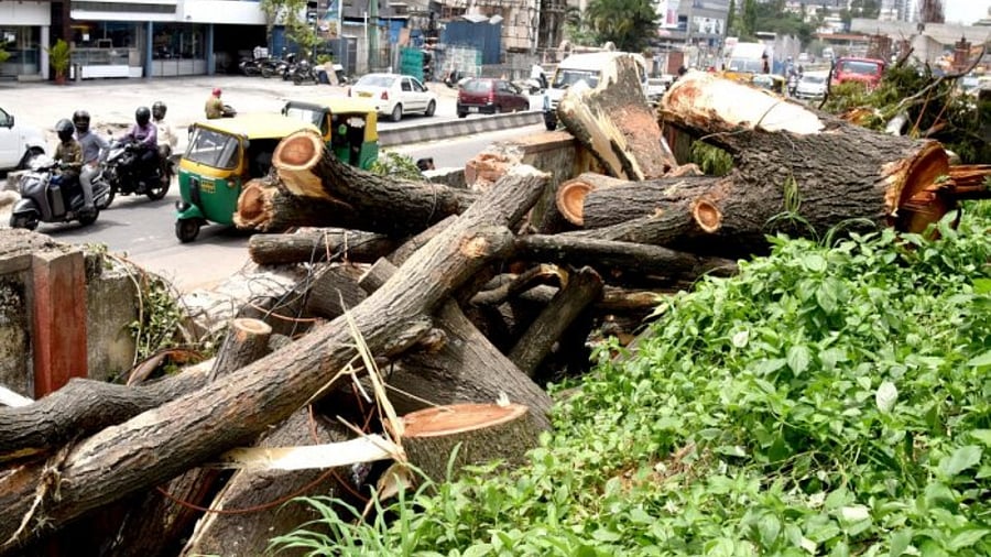 Representatiive image. Credit: DH File Photo