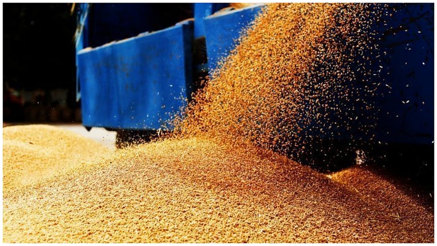 Representative image. Credit: iStock Photo