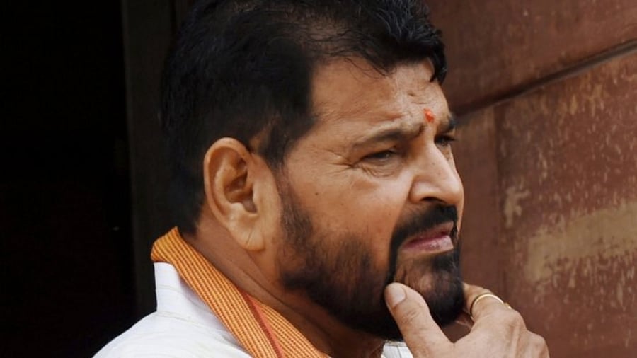 <div class="paragraphs"><p>WFI chief Brij Bhushan Sharan Singh.</p></div>