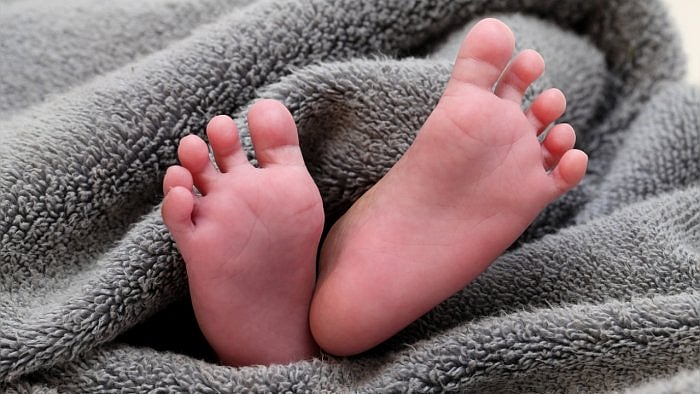 Representative image. Credit: iStock Photo