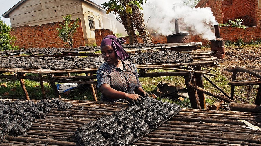 Biochar. Credit: Bloomberg Photo