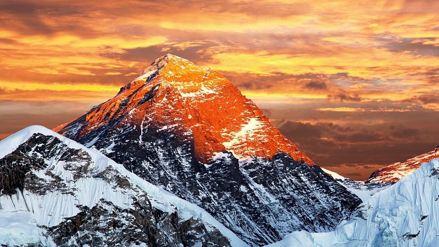 Representative image. Credit: Getty images