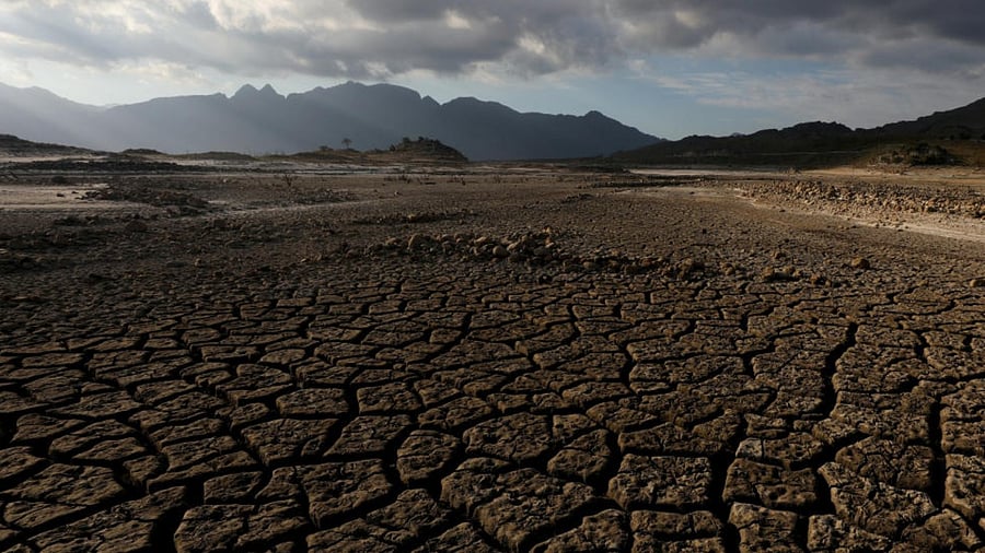 Representative image. Credit: Reuters Photo