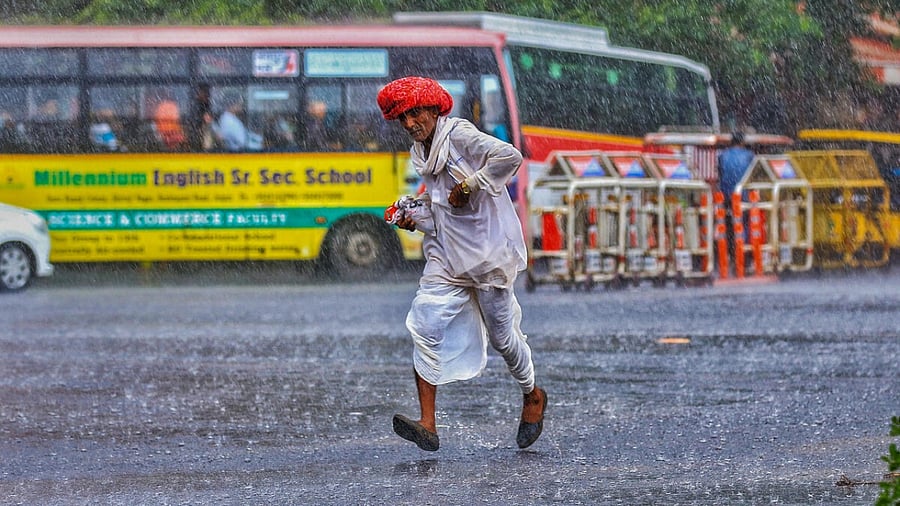Monsoon rain in Rajasthan. Credit: PTI Photo