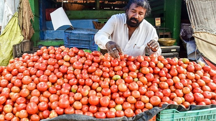 <div class="paragraphs"><p>Market sources said the supply of the commodity has improved by two to three times compared to last month leading to sharp decline of their prices.</p></div>