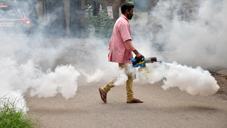 Fogging is the best way to prevent the breeding of mosquitoes. Credit: DH File Photo