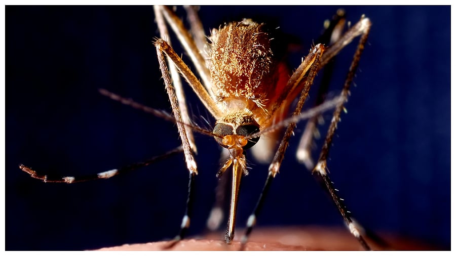 Representational image: iStock Photo