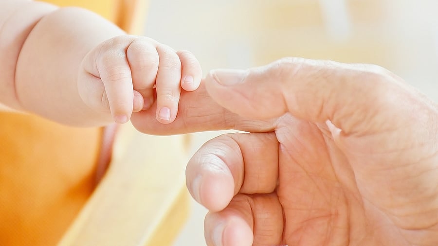 Representative image. Credit: Pixabay Photo