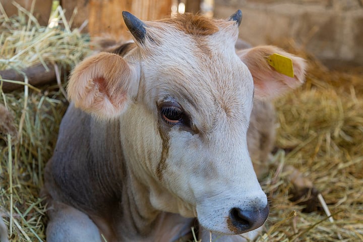 Representative Image. Credit: iStock Photo