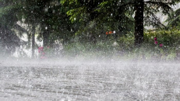 Representative image. Credit: iStock Photo