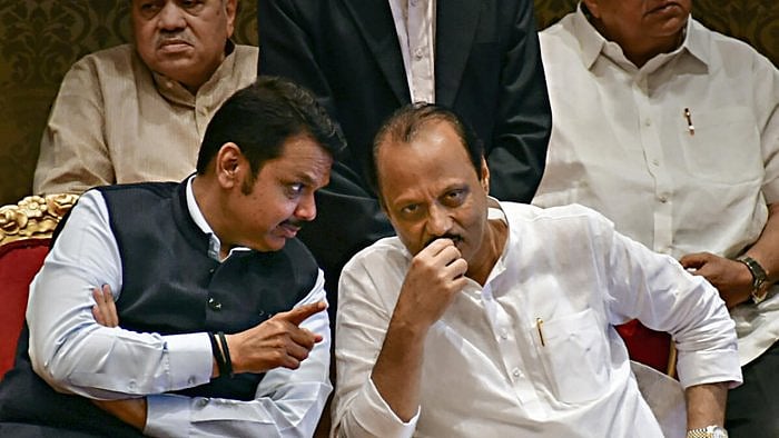 BJP has started to make tactical changes to cut down on the losses in states. Credit: PTI File Photo