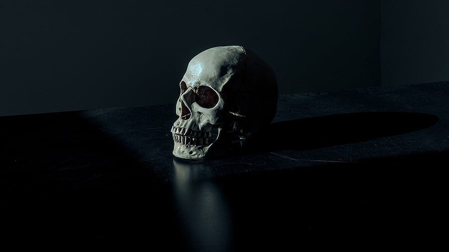 Representative image. Credit: Pixabay Photo