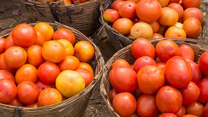 Representative image. Credit: iStock Photo