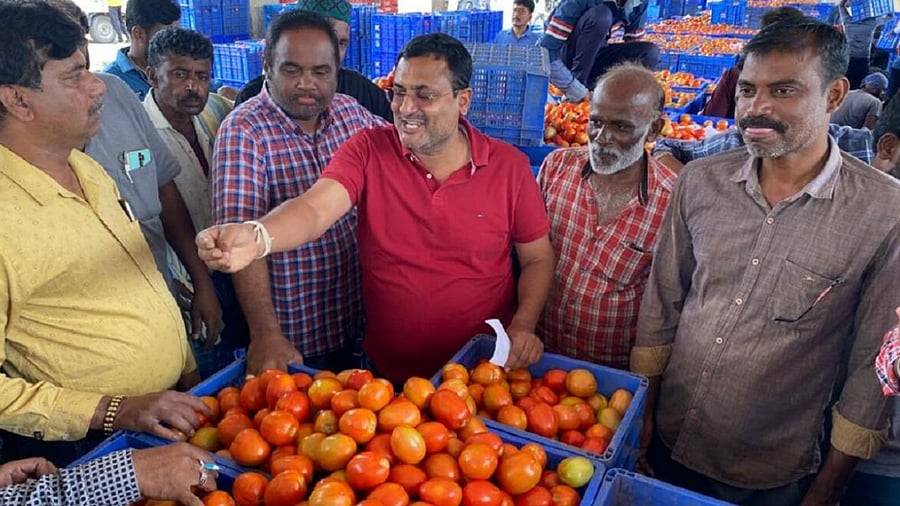 The tomatoes which were sold at Rs 2,200 for a 15-kg box at the APMC market in Kolar on Tuesday. Credit: DH Photo