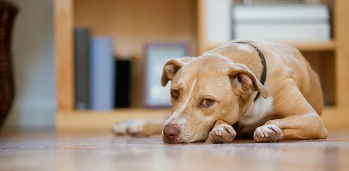 Representative image. Credit: iStock Photo