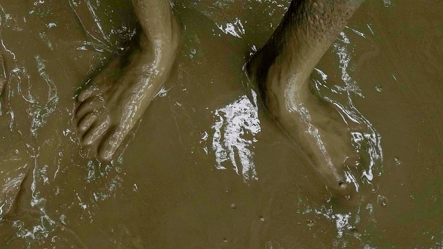 Representative image. Credit: PTI Photo