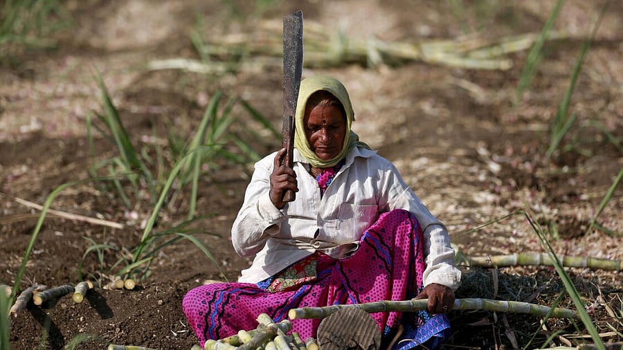 Representative image. Credit: Reuters Photo