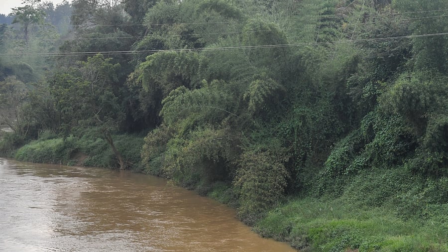 Representative image. Credit: DH Photo/S K Dinesh