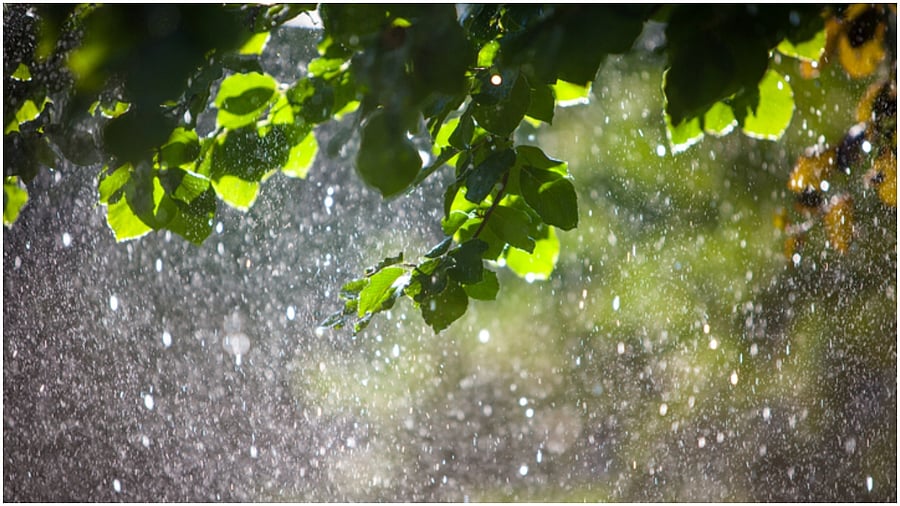 Representative Image. Credit: iStock Photo