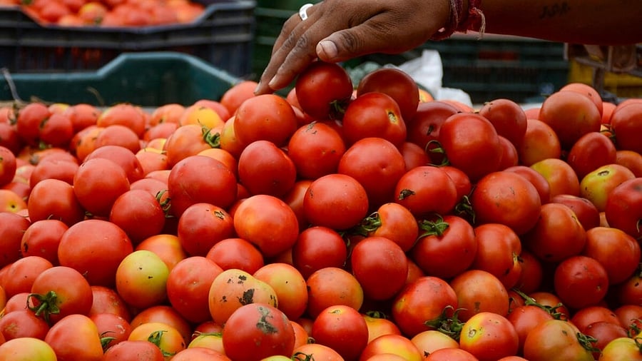 Representative image. Credit: PTI File Photo