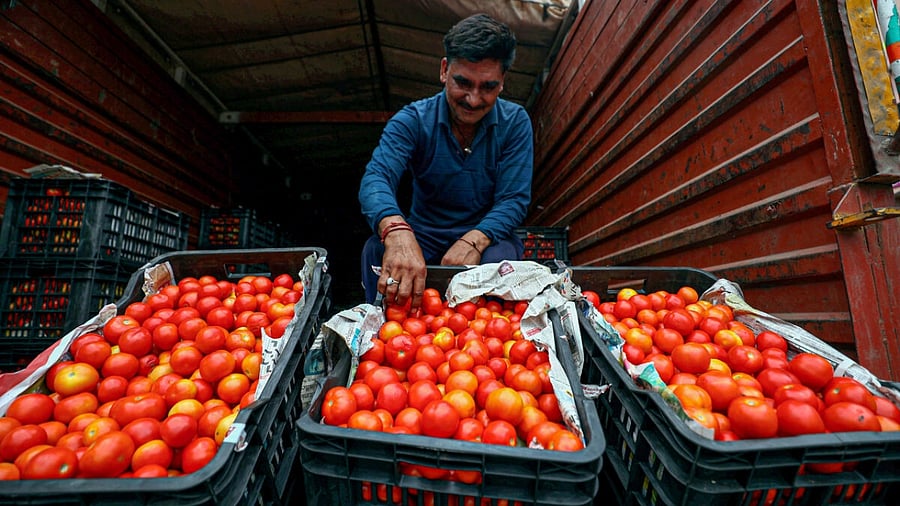Representative Image. Credit: PTI Photo