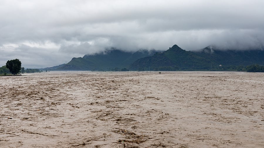 Representative Image. Credit: iStock Photo