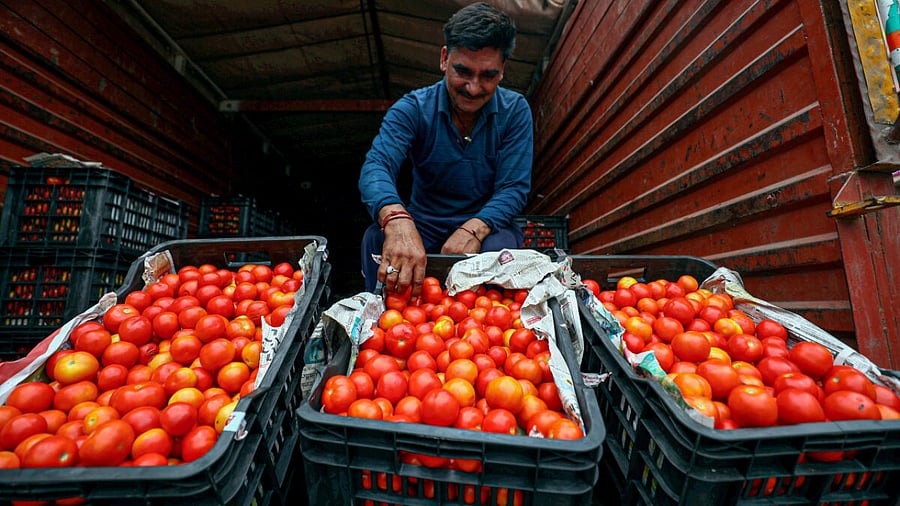 Representative Image. Credit: PTI Photo