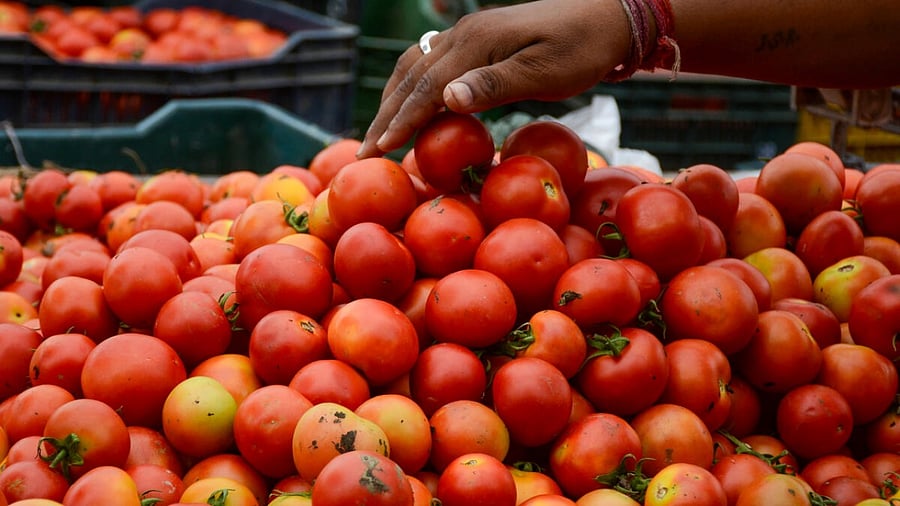 Representative image. Credit: PTI Photo