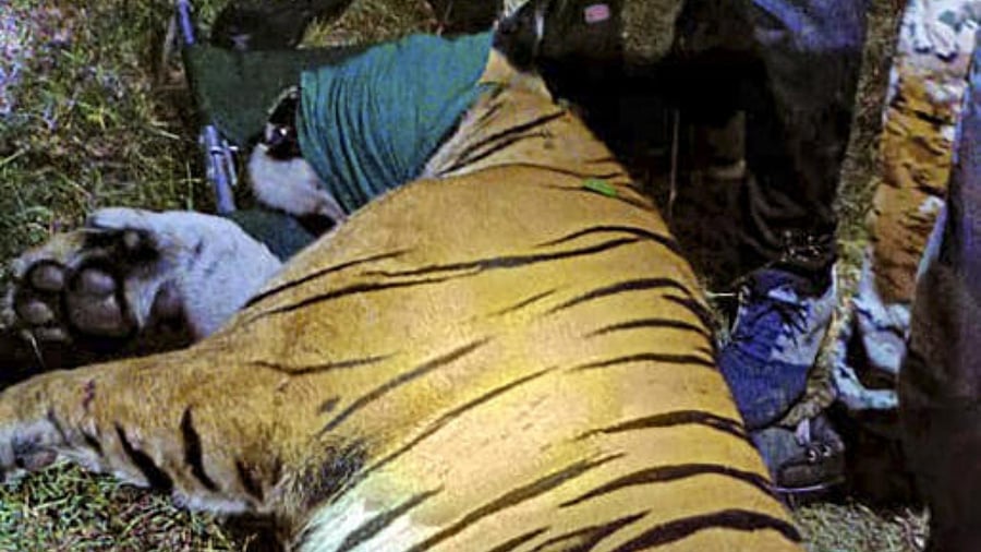 Representative Image. Credit: PTI Photo