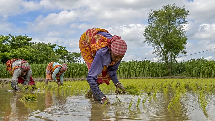 Representative image. Credit: PTI Photo