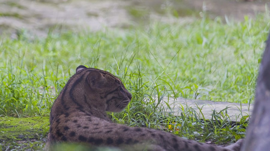 Representative image. Credit: iStock Photo