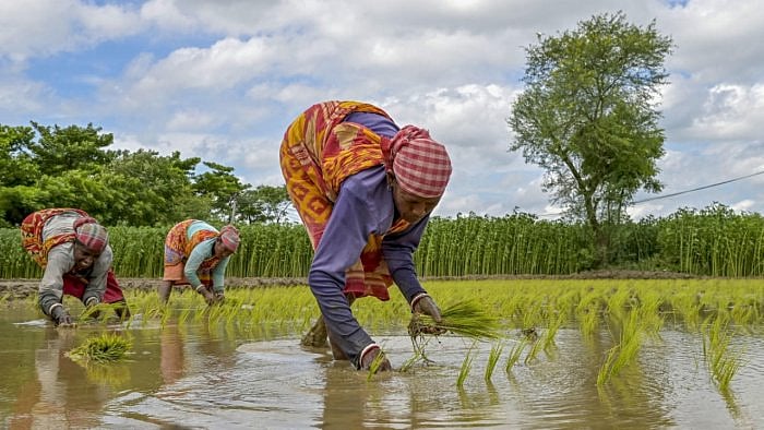 Representative Image. Credit: PTI Photo