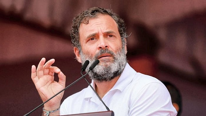 Rahul Gandhi. Credit: PTI Photo
