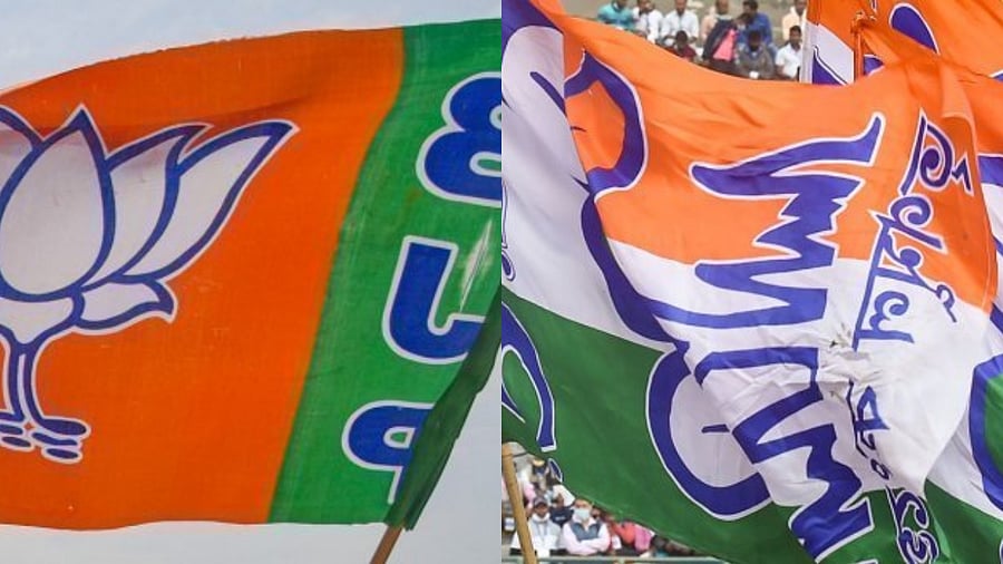 <div class="paragraphs"><p>BJP and TMC party flags. </p></div>