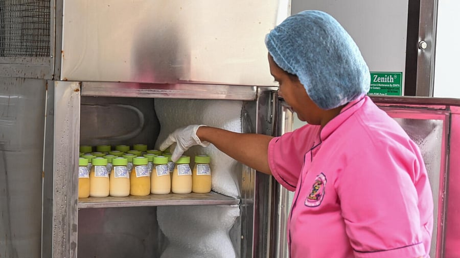 Representative Image. Credit: DH Photo