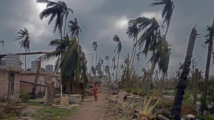 Representative Image. Credit: PTI Photo