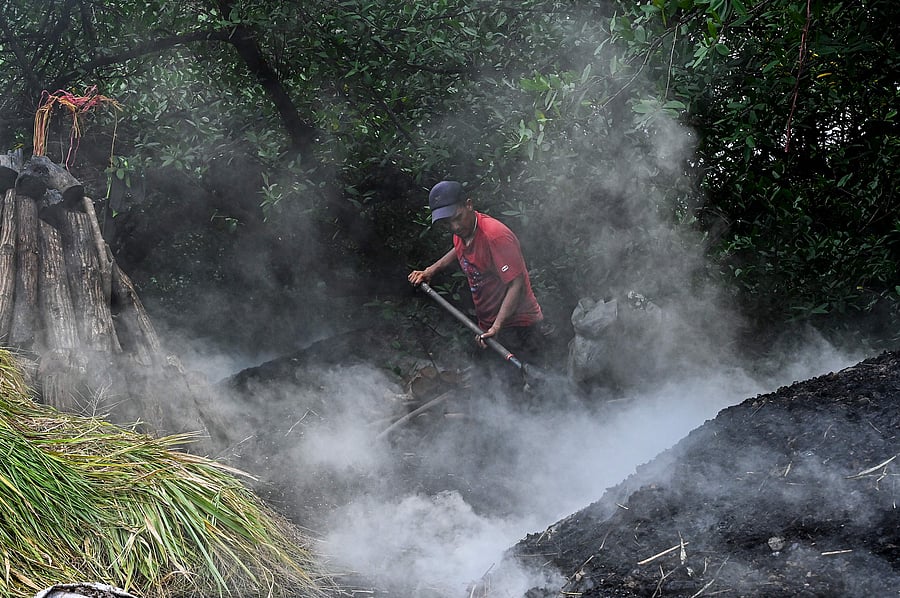The inhabitants of the village of El Espave, who have been producing mangrove charcoal for generations, see their economic activity endangered by environmental laws that prohibit the cutting of wood from the mangroves, considered a natural barrier against the erosion of the Chame Bay coastline. Credit: AFP Photo
