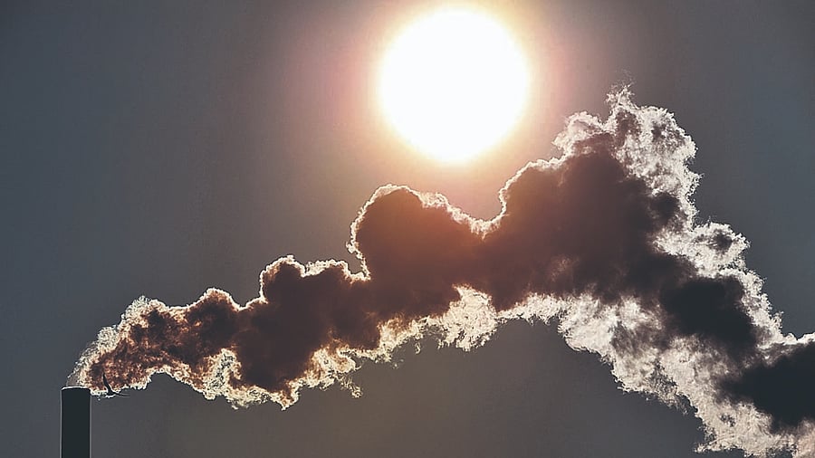 10 Easy ways to reduce air pollution| In Pics