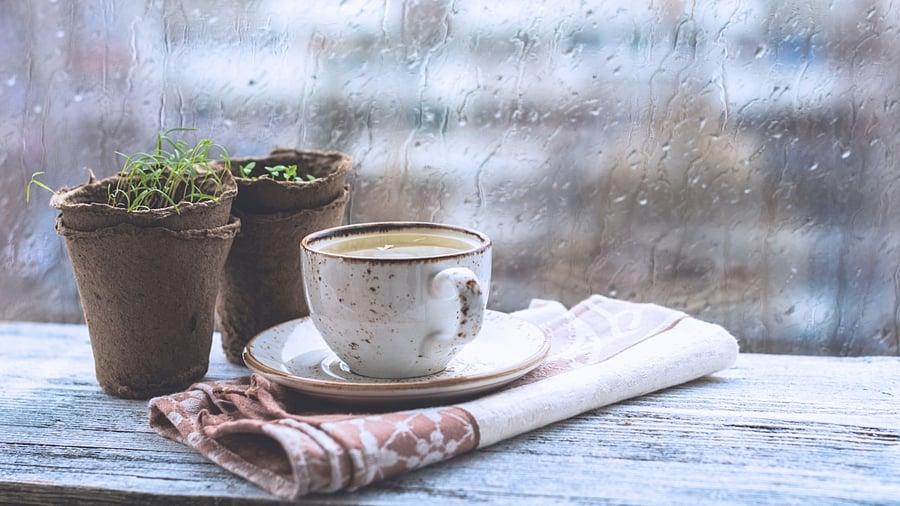 In Pics | Drinks that will help in strengthening your immunity in monsoon