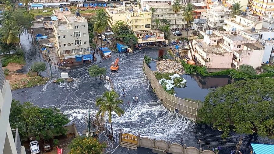 Tractor, boat ride to office as rains drown Bengaluru; See Pics
